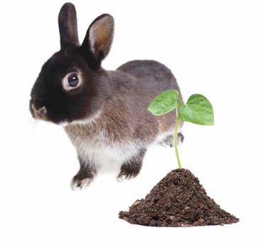 Selecting the Right Adsorbent for Chromatography